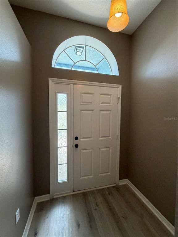 An entryway features a white front door with a sidelight, arched transom, and wood-look flooring — 5539 SYCAMORE CANYON DRIVE, KISSIMMEE, FL