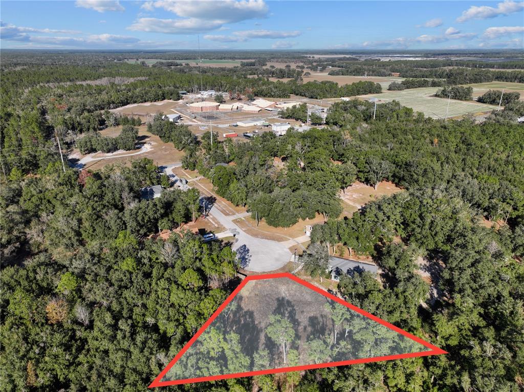 An aerial view shows a vacant, triangular-shaped lot highlighted in red near a residential cul-de-sac — 00 DEER TRAIL CIRCLE, BRONSON, FL