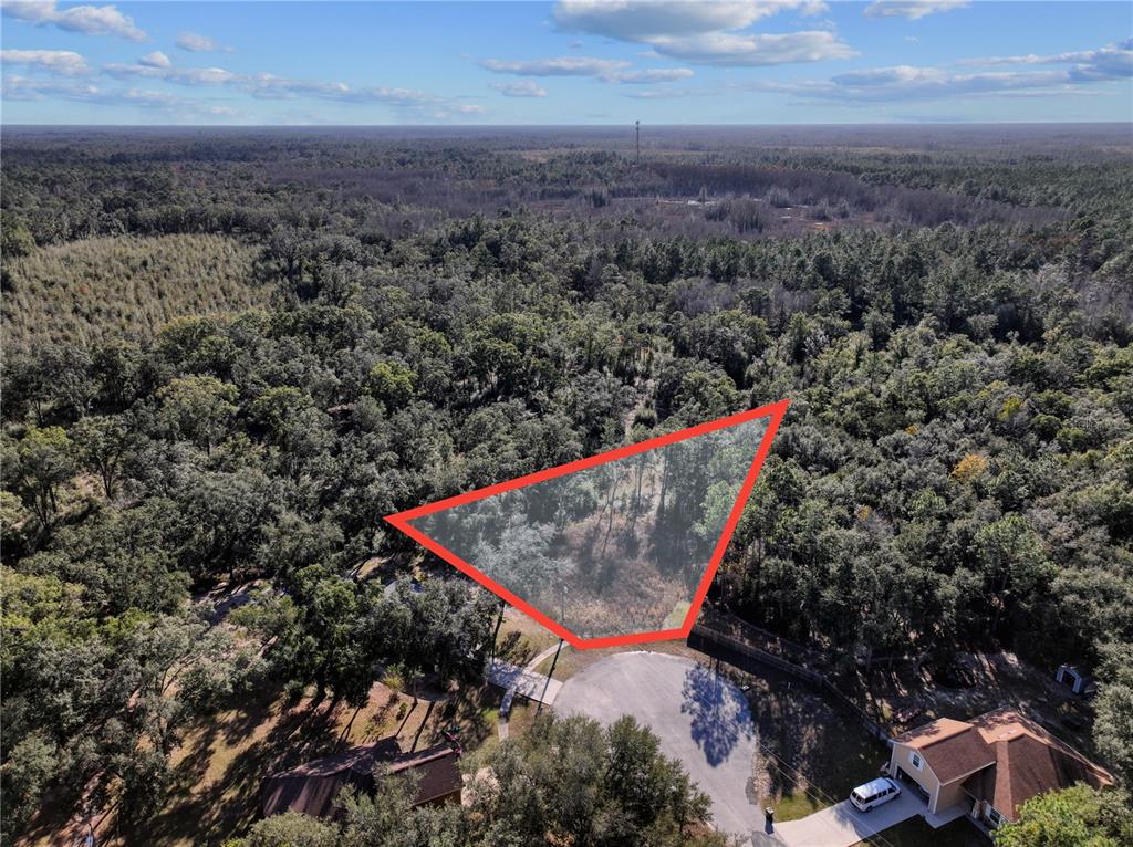 An aerial view shows a wooded residential lot outlined in red near a cul-de-sac — 00 DEER TRAIL CIRCLE, BRONSON, FL