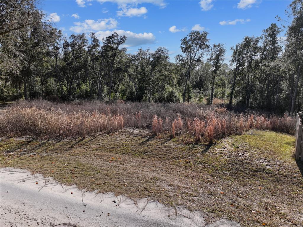 A vacant, grassy lot with tall dried vegetation and a backdrop of mature trees — 00 DEER TRAIL CIRCLE, BRONSON, FL