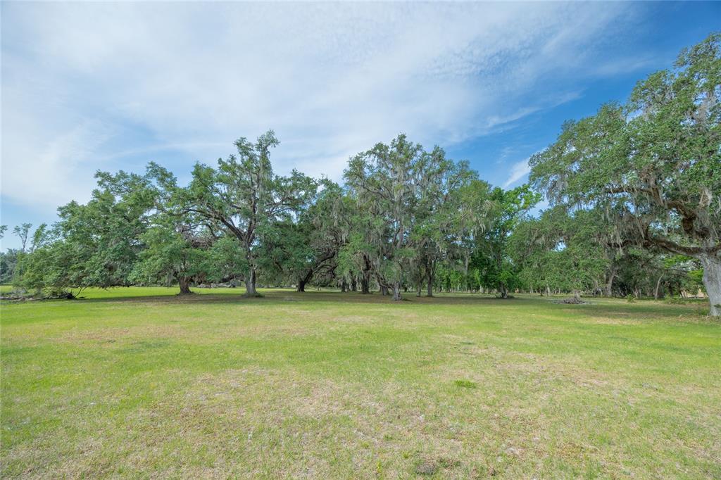 TBD CR 772B, WEBSTER, FL — photo 2 of 30