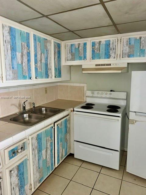 A kitchen features white appliances, a double-basin sink, and cabinets with a distressed blue-plank finish — 119 Salisbury, West Palm Beach FL 33417, WEST PALM BEACH, FL