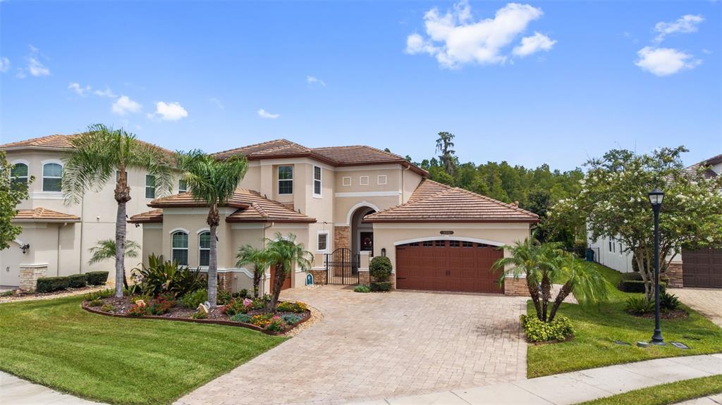 A two-story stucco house with a tile roof, a paved driveway, and palm trees — 30581 IVY FORGE COURT, WESLEY CHAPEL, FL
