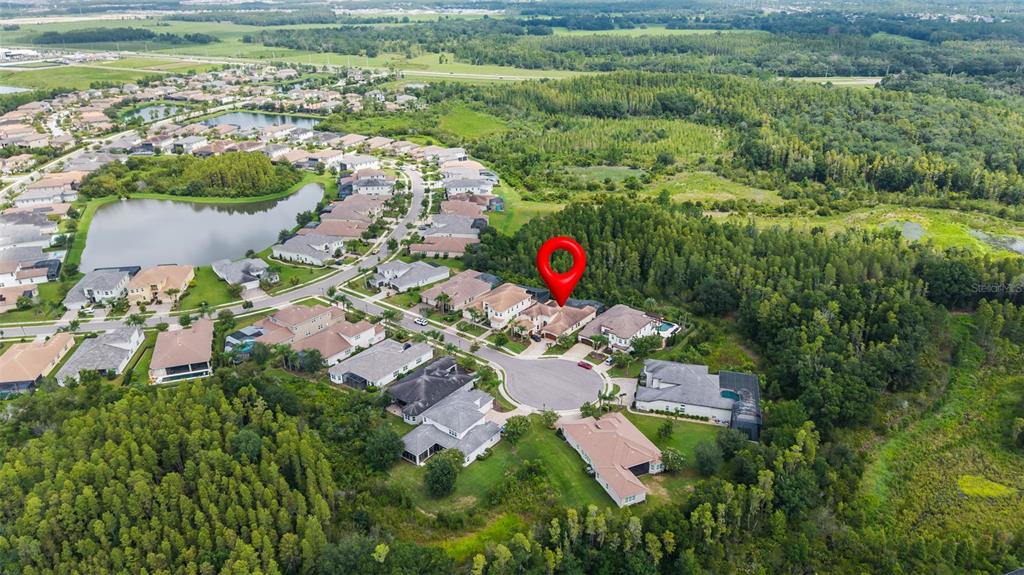 An aerial view shows a suburban neighborhood with a red location pin over a house — 30581 IVY FORGE COURT, WESLEY CHAPEL, FL
