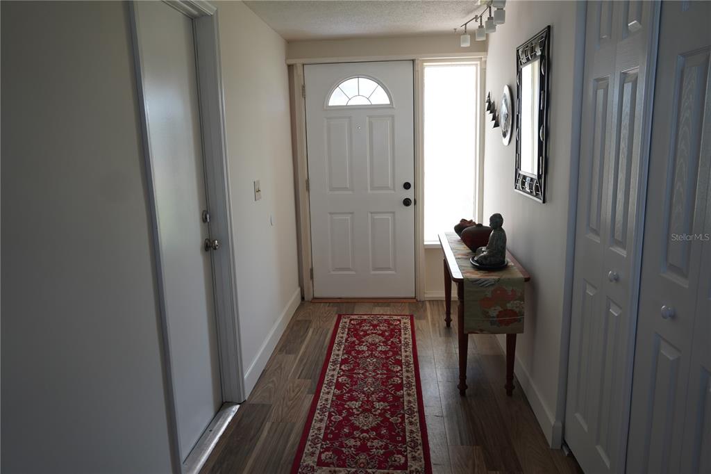 An entryway features wood-look flooring, a red runner rug, a console table, and a white door — 536 FLAMINGO DRIVE, APOLLO BEACH, FL