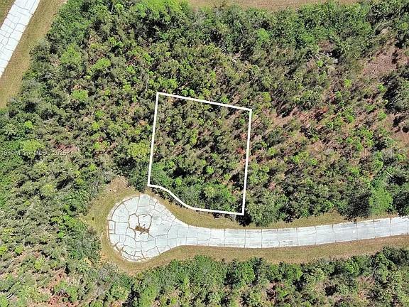 An aerial view shows a vacant, wooded lot outlined in white at the end of a cul-de-sac — 12318 COD WAY, PLACIDA, FL