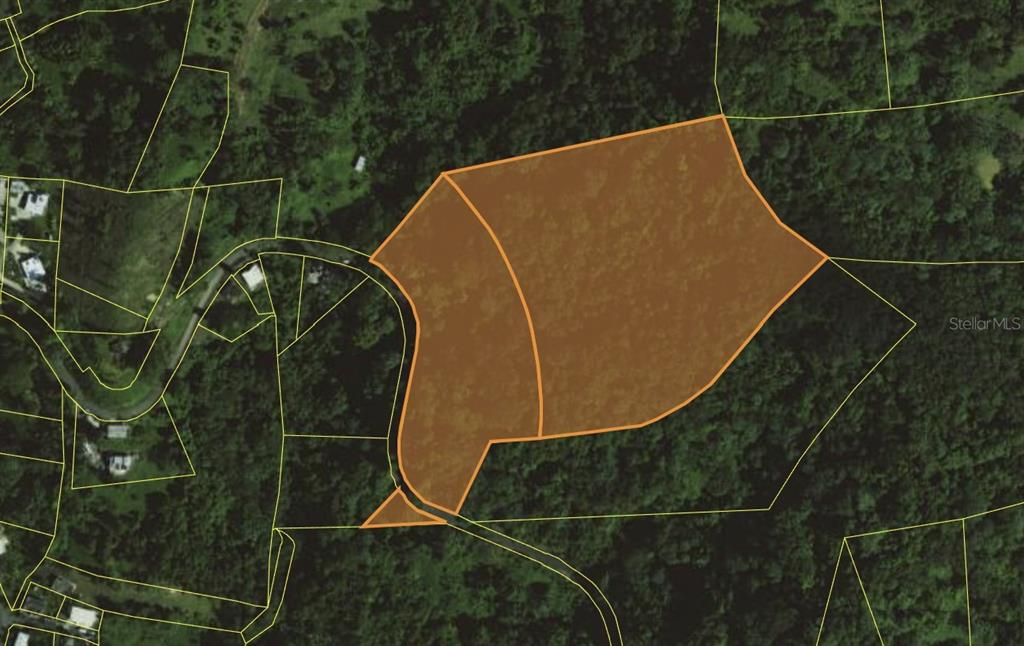 An aerial map shows two adjacent parcels of land highlighted in brown — PR 970 MAIZALES WARD, NAGUABO, PR