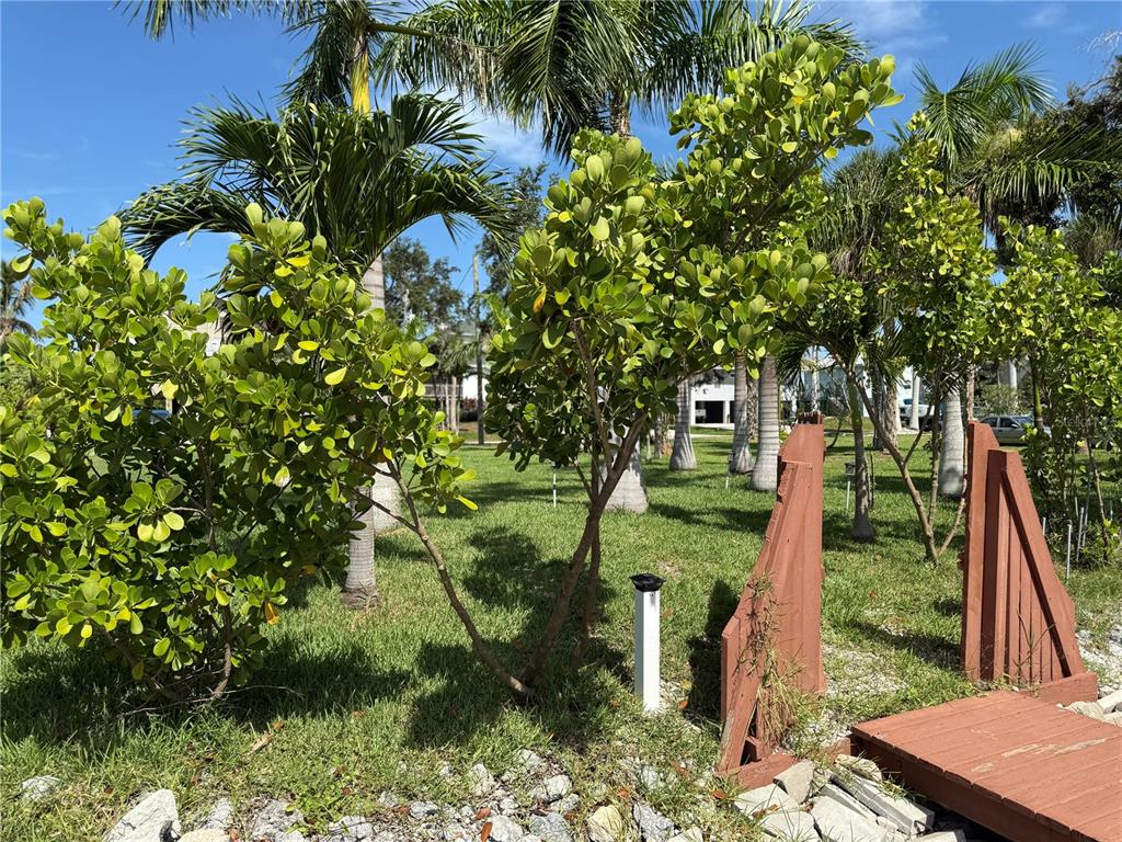 124 BURNS ROAD, TERRA CEIA, FL — photo 5 of 12
