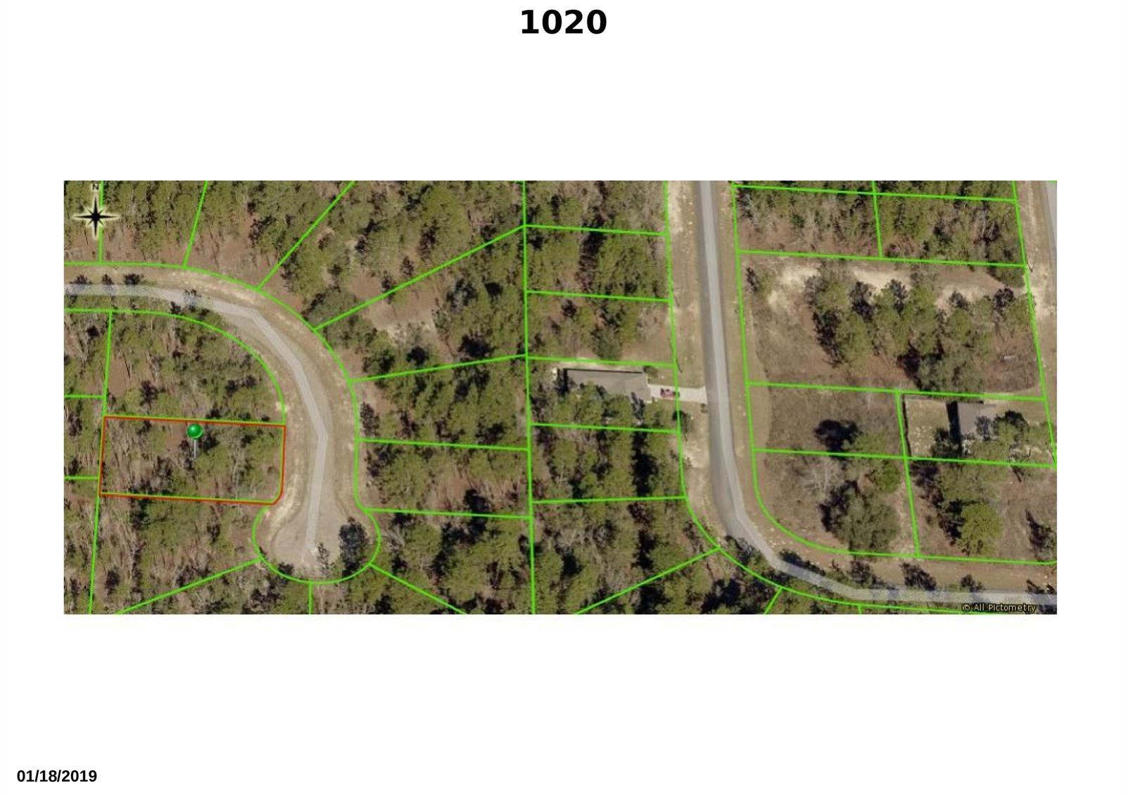 This is an aerial map showing a residential lot outlined in red within a wooded neighborhood — 1020 W Riley Drive, FL 34434, FL