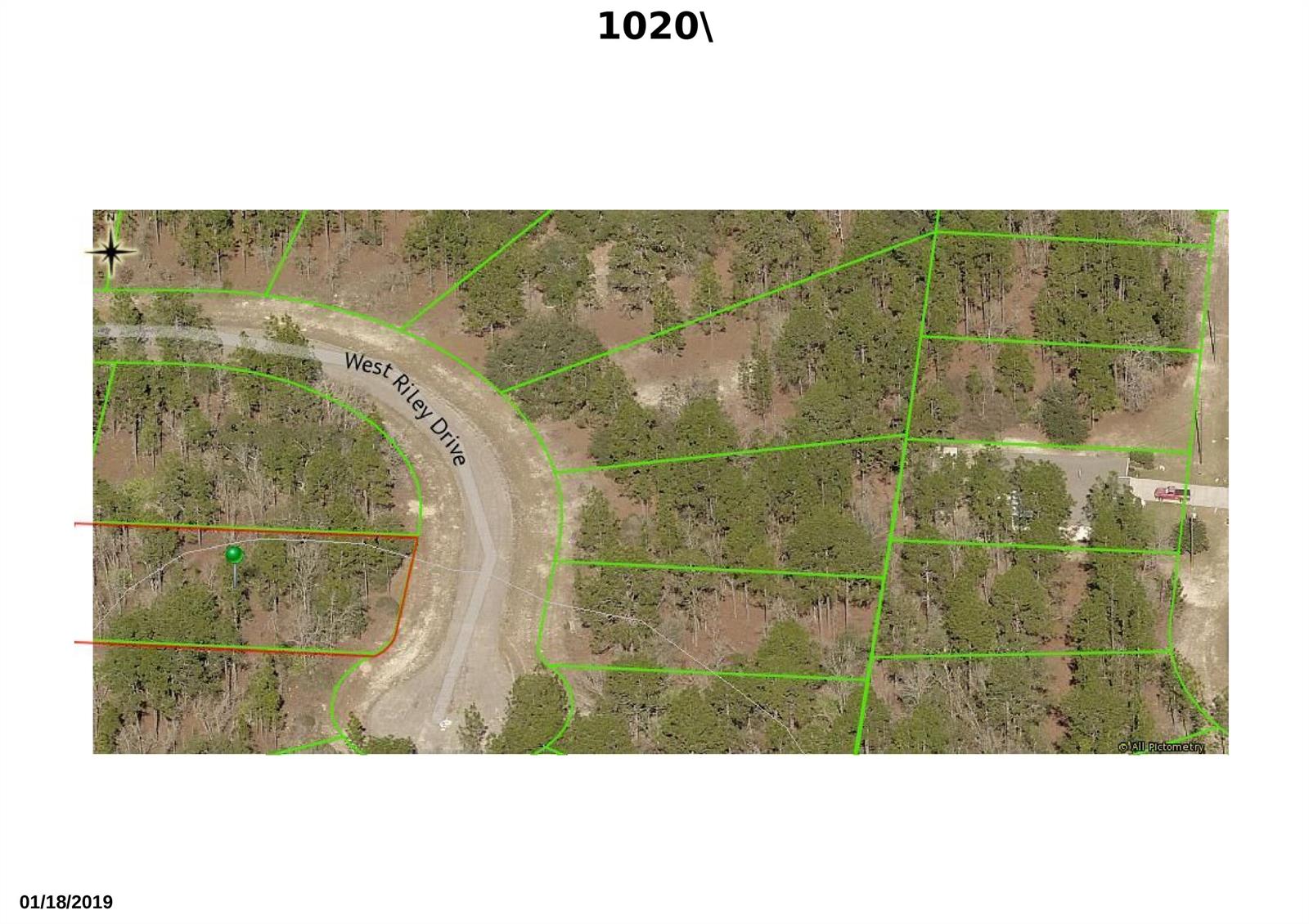 This is an aerial map showing a wooded lot along West Riley Drive — 1020 W Riley Drive, FL 34434, FL