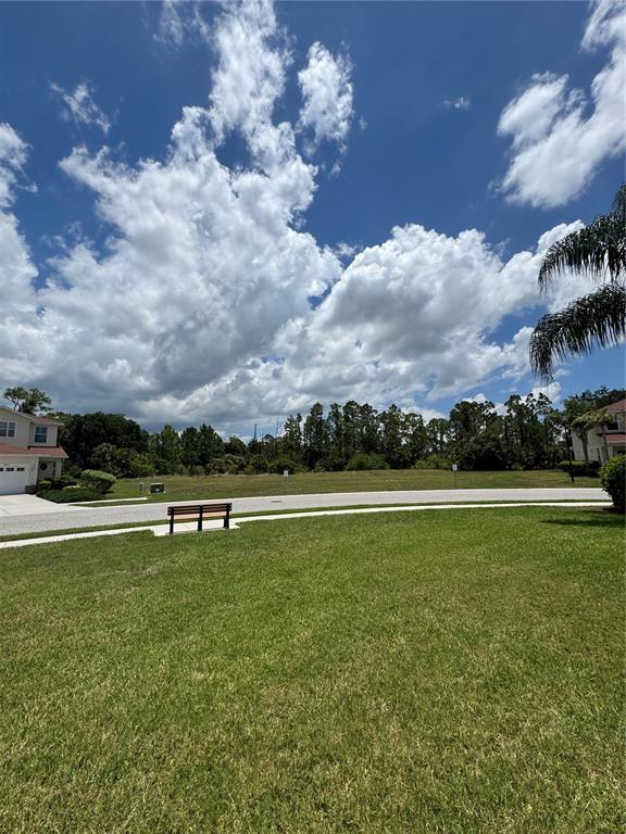 A grassy lawn with a bench overlooks a paved road and a wooded area — JONAH DRIVE, NORTH PORT, FL