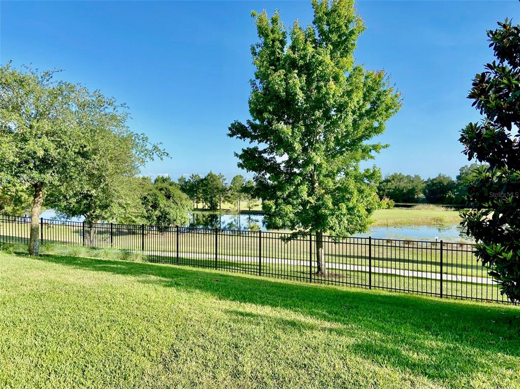 A black metal fence separates a grassy lawn from a pond and trees — 16238 WIND VIEW LANE, WINTER GARDEN, FL