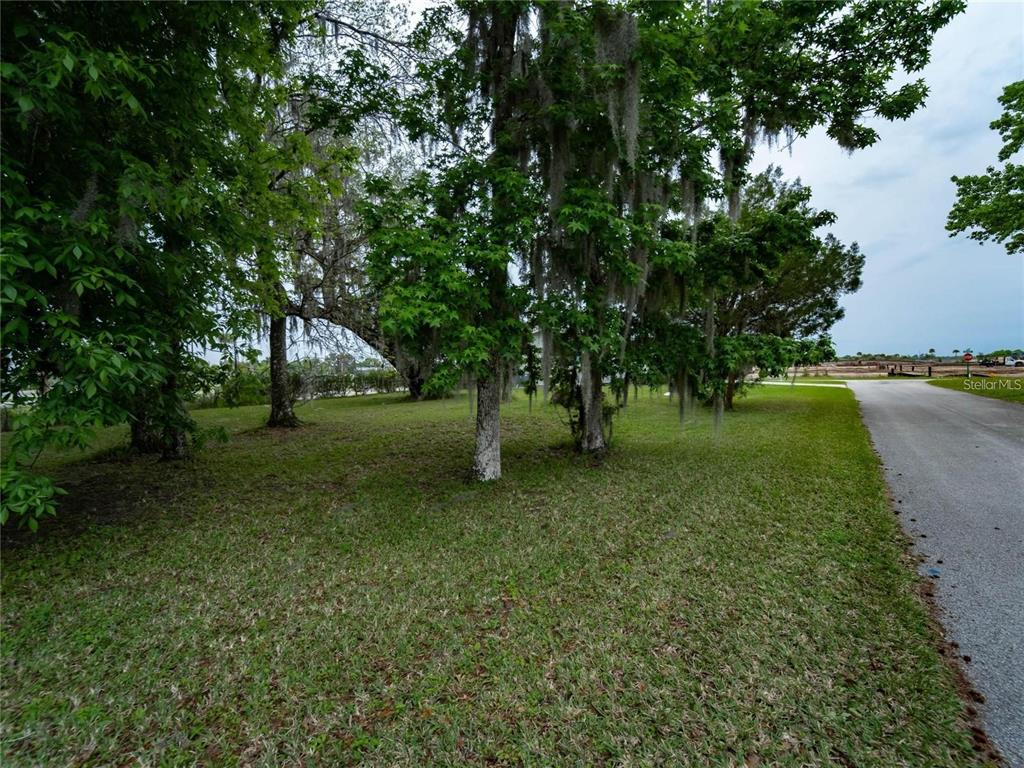A grassy, tree-filled lot sits adjacent to a paved road under a cloudy sky — Lot 56 Blk C LEXINGTON DRIVE, WILDWOOD, FL