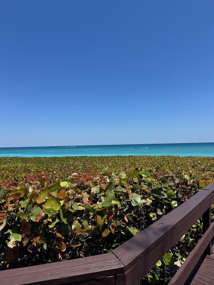 A wooden boardwalk overlooks a dense patch of sea grape bushes and the blue ocean — 170 Celestial Way # 2, Juno Beach FL 33408, JUNO BEACH, FL