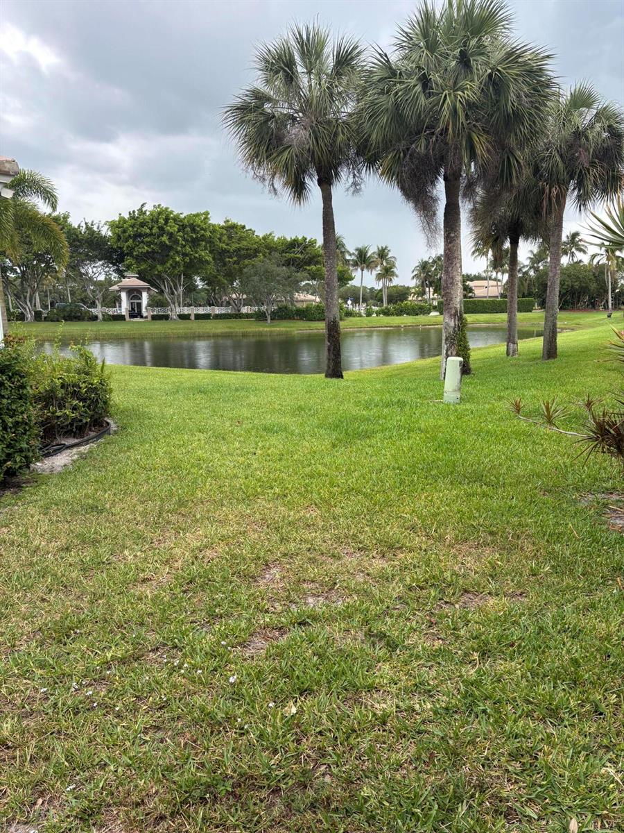A grassy lawn leads to a small pond surrounded by palm trees and landscaping — 8410 Cargill Point, West Palm Beach FL 33411, WEST PALM BEACH, FL