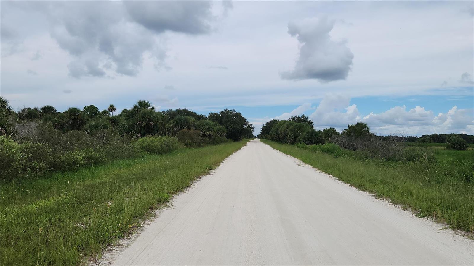 A long, straight dirt road stretches through a grassy landscape with trees under a cloudy sky — 14988 NW 316th Street, Okeechobee FL 34972, OKEECHOBEE, FL