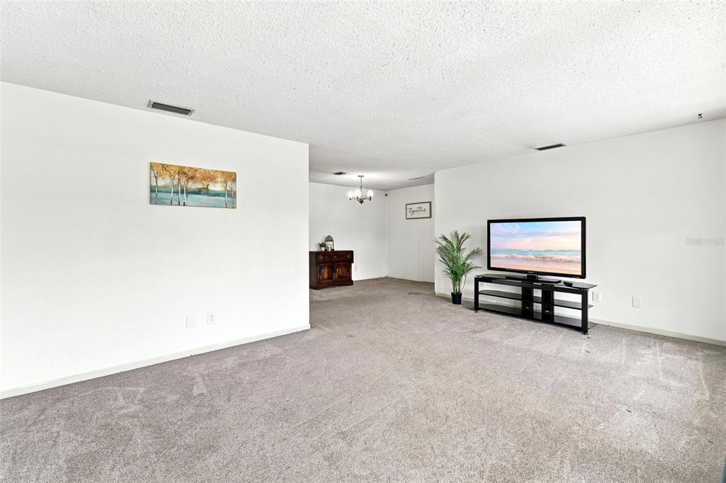 A living room with gray carpet, white walls, a television on a stand, and a dining area — 790 S BOUNDARY AVENUE, DELAND, FL