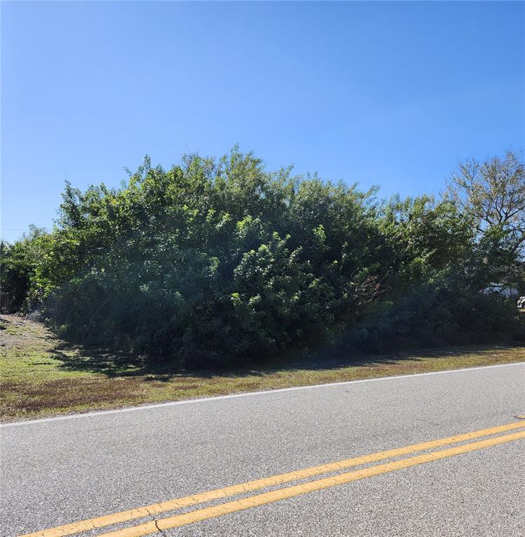 A dense thicket of green trees and shrubs grows along the side of a road — 11325 OCEANSPRAY BOULEVARD, ENGLEWOOD, FL