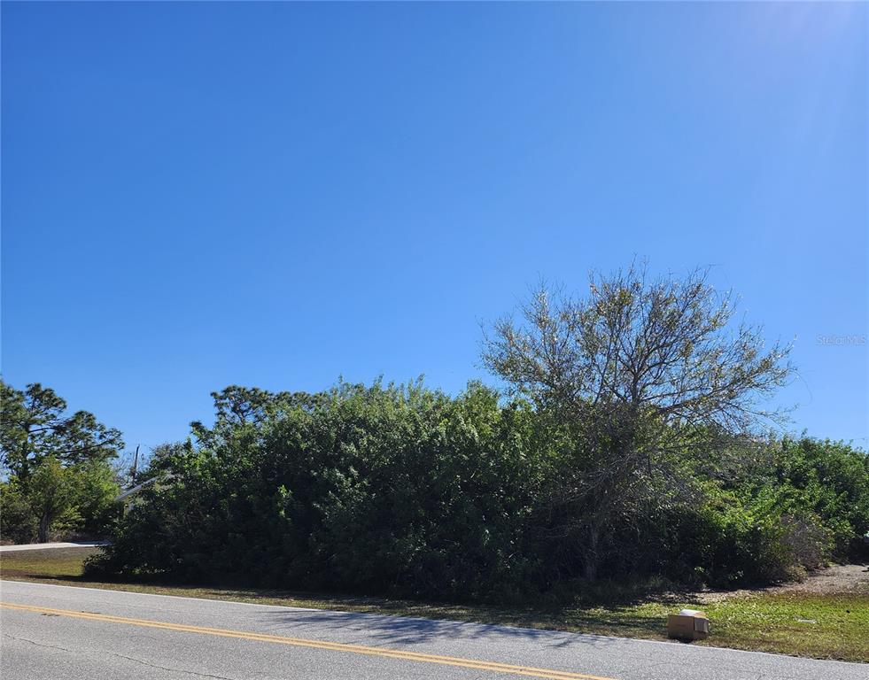 A vacant, overgrown lot sits alongside a paved road under a clear blue sky — 11325 OCEANSPRAY BOULEVARD, ENGLEWOOD, FL