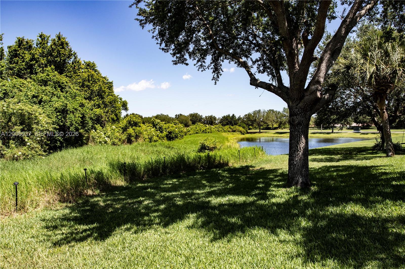 A large tree stands on a grassy lawn overlooking a small pond and woods — 11413 MOUNTAIN BAY DR, Riverview FL 33569, RIVERVIEW, FL