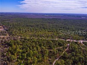 An aerial view shows a large, undeveloped plot of land covered in trees and brush — 0 INTERNATIONAL DRIVE, ORLANDO, FL