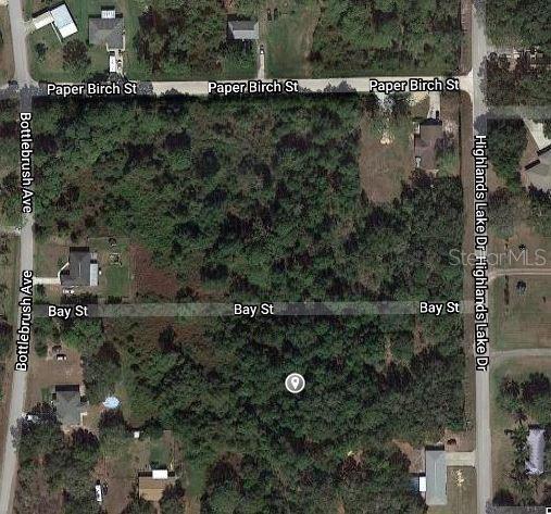 This aerial map shows a wooded, undeveloped rectangular lot bordered by four residential streets — 1511 BLACKWILLOW STREET, LAKE PLACID, FL