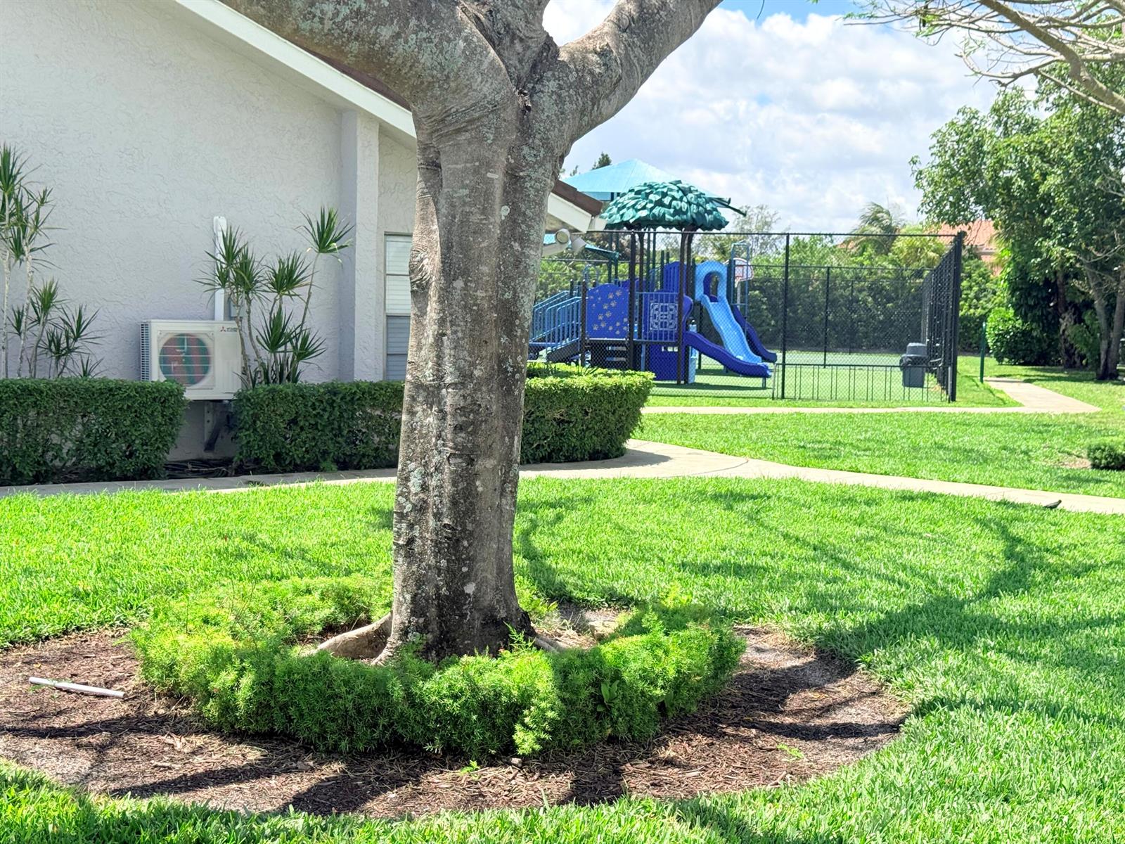 A large tree stands in a grassy yard near a building and a fenced playground — 7797 San Marcos Place, Boca Raton FL 33433, BOCA RATON, FL