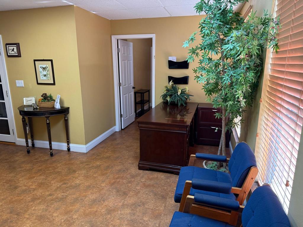 An office space features a dark wood desk, two blue chairs, and a potted tree — 13506 N ROME AVENUE, TAMPA, FL