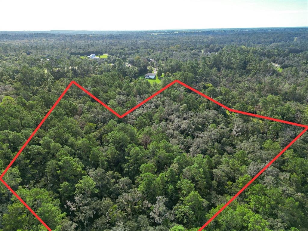 An aerial view shows a large, wooded plot of land outlined in red — AYLESBORO COURT, BROOKSVILLE, FL