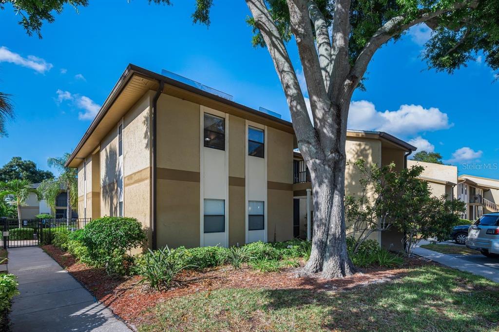 A two-story tan apartment building exterior with a large tree in the front yard — 10195 SAILWINDS BOULEVARD N UNIT 201, LARGO, FL