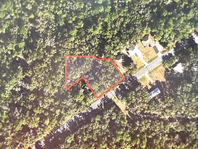 This is an aerial map showing a wooded lot outlined in red — 9771 W DUNNELLON ROAD, CRYSTAL RIVER, FL