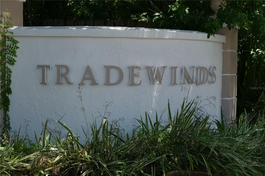 A white stucco monument sign displays the word TRADEWINDS in raised metal lettering — 205 S MCMULLEN BOOTH ROAD UNIT 203, CLEARWATER, FL
