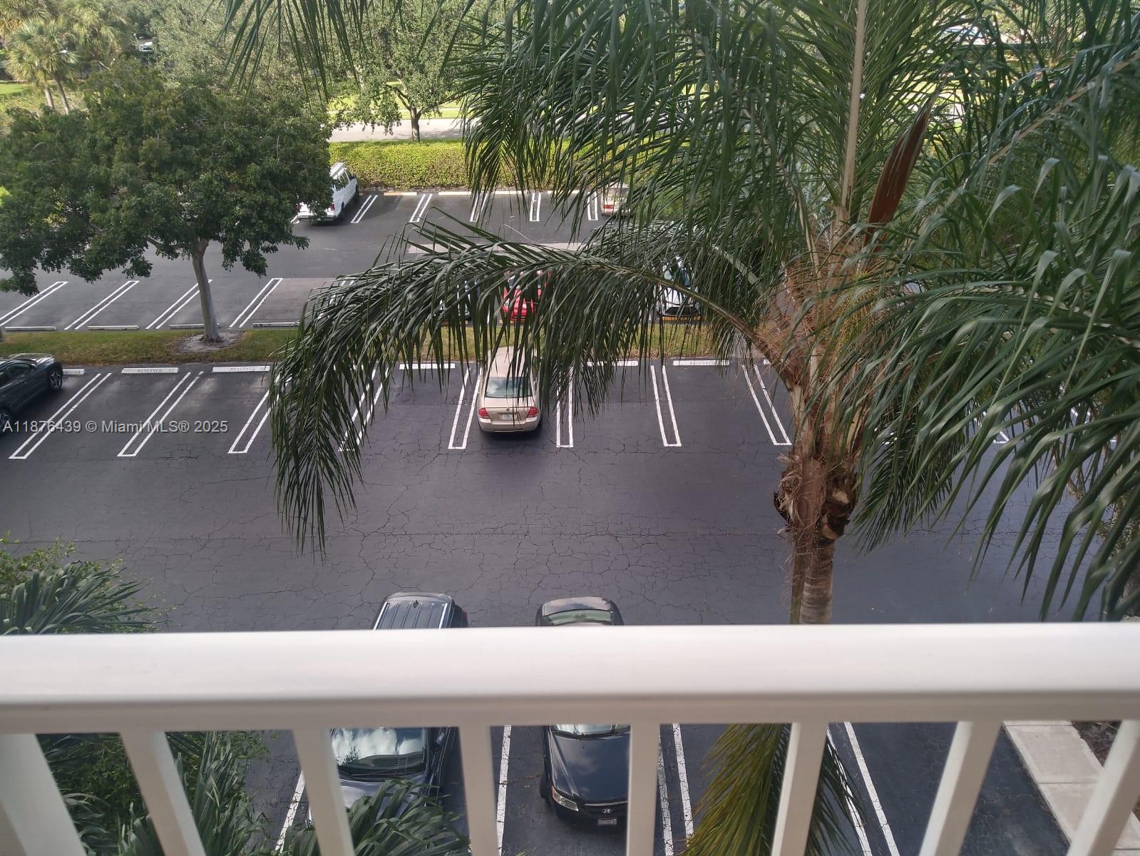 An elevated view shows a parking lot with several cars and a palm tree — 3510 Oaks Way # 509, Pompano Beach FL 33069, POMPANO BEACH, FL