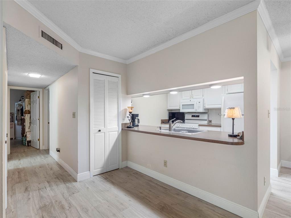 A kitchen pass-through window overlooks a room with light wood-look flooring and a closet — 10182 SEMINOLE ISLAND DR, LARGO, FL