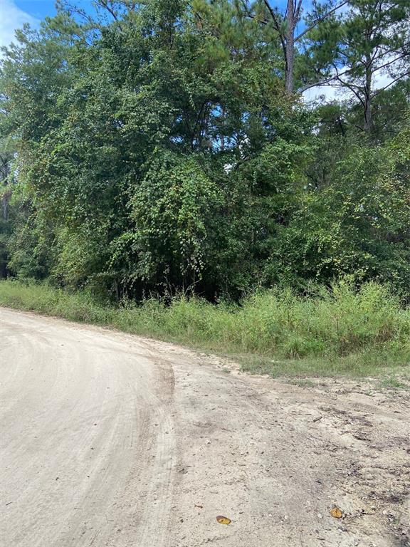 A dirt road curves past a dense line of trees and overgrown vegetation — 0 SW 8TH PLACE SW UNIT 0, OCALA, FL