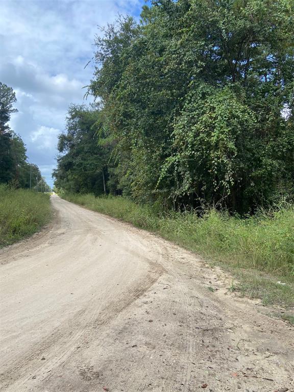 A dirt road curves past a dense line of trees under a cloudy sky — 0 SW 8TH PLACE SW UNIT 0, OCALA, FL