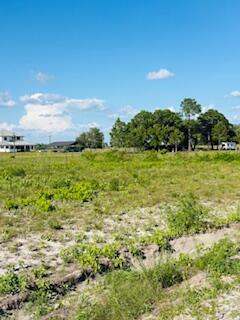 A wide, grassy vacant lot with scattered trees and distant houses under a blue sky — 7610 16th Ter Terrace, FL 33935, FL