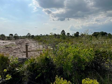 A dirt path runs alongside a wire fence bordering a field of brush and trees — 50760 BERMONT ROAD, PUNTA GORDA, FL
