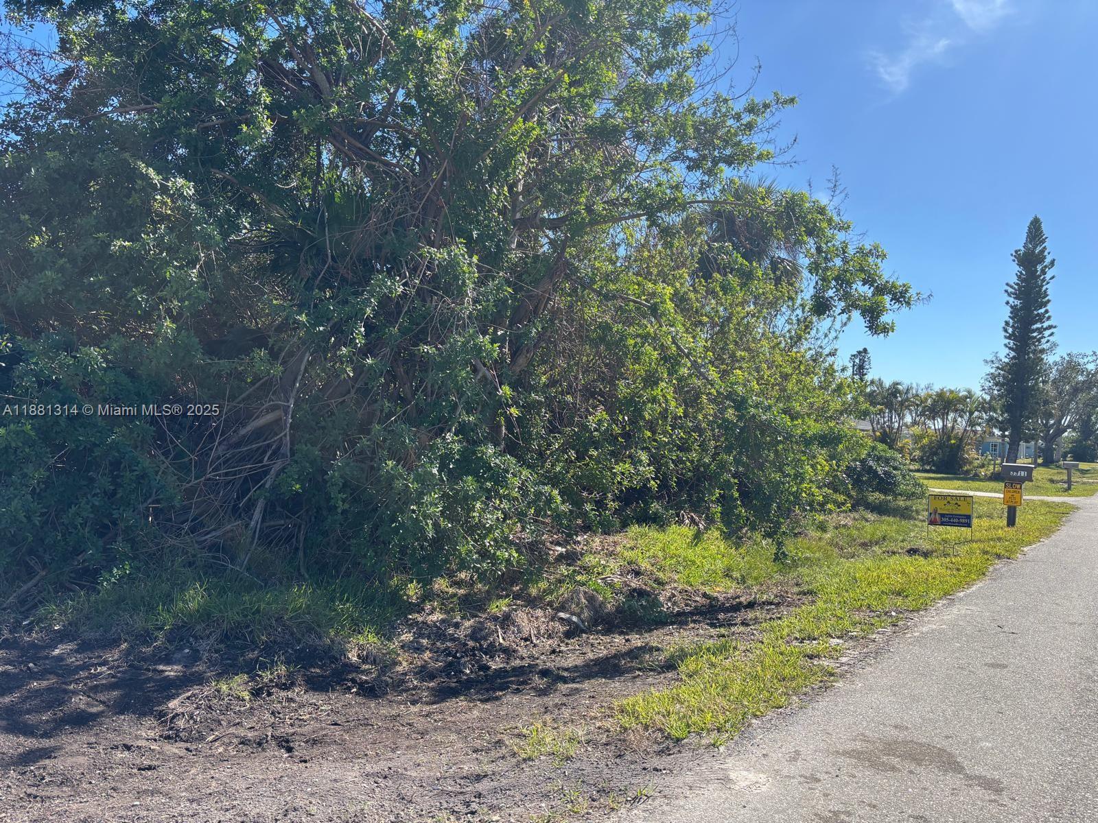 A vacant, overgrown lot with a for sale sign sits beside a paved road — 3310 ASH ST, Punta Gorda FL 33950, PUNTA GORDA, FL
