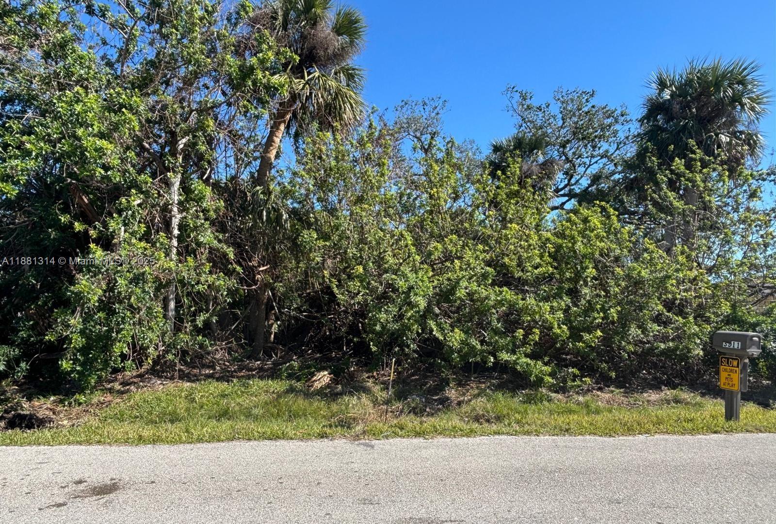 A vacant, heavily wooded residential lot sits behind a paved road and a mailbox — 3310 ASH ST, Punta Gorda FL 33950, PUNTA GORDA, FL