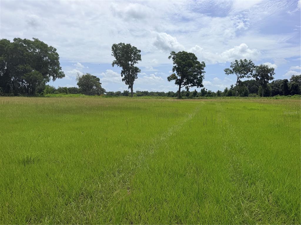 N HWY 441, CITRA, FL — photo 2 of 5