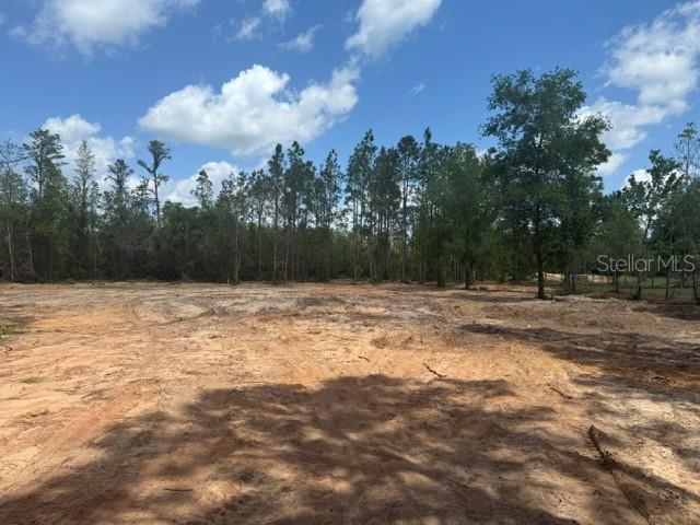 A cleared, sandy lot is bordered by a line of tall pine trees — 6123 OIL WELL ROAD, CLERMONT, FL