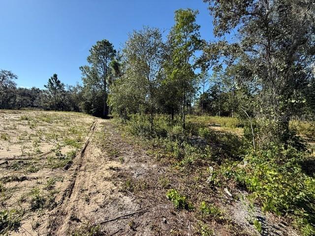 A dirt path leads through a sandy, partially cleared lot with trees and brush — 6123 OIL WELL ROAD, CLERMONT, FL