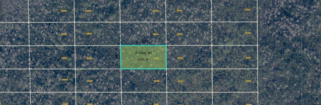 This is a map showing a highlighted rectangular parcel of land with dimensions — DILL ROAD, ORLANDO, FL
