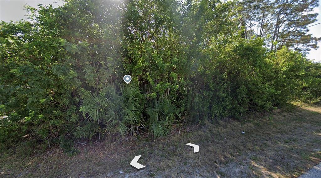 A dense thicket of green trees and shrubs borders a grassy roadside — 2450 BAIRD STREET, PORT CHARLOTTE, FL
