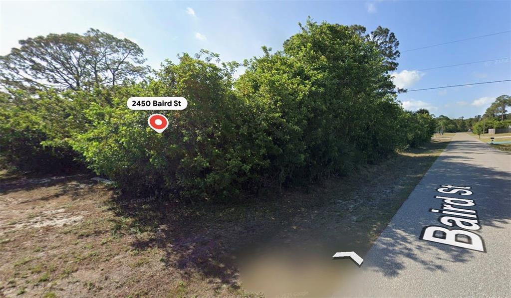 A dense thicket of trees and shrubs borders a paved road on a vacant lot — 2450 BAIRD STREET, PORT CHARLOTTE, FL