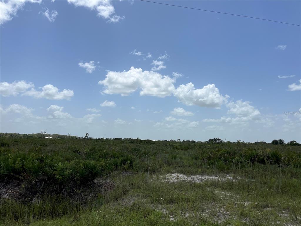 A wide, grassy field with low-lying vegetation under a bright blue sky with clouds — 20106 NW 254TH STREET, OKEECHOBEE, FL