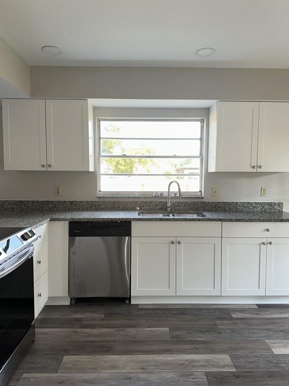 A kitchen features white cabinets, granite countertops, a stainless steel dishwasher, and wood-look flooring — 17608 SHADYSIDE CIRCLE, LUTZ, FL