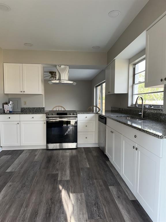 A kitchen features white cabinets, granite countertops, stainless steel appliances, and wood-look flooring — 17608 SHADYSIDE CIRCLE, LUTZ, FL