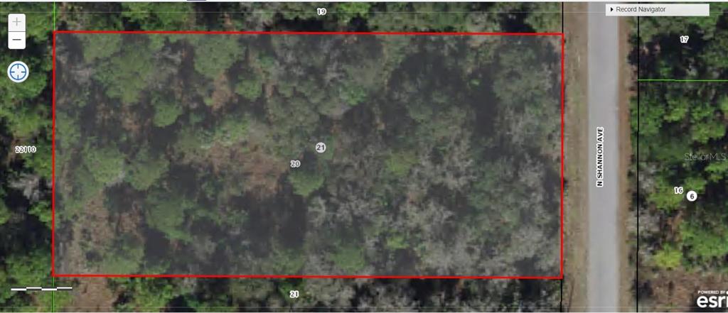 This is a map view showing a rectangular, wooded plot of land bordering a road — 8108 N SHANNON AVENUE, CRYSTAL RIVER, FL